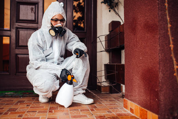 Reliable Cockroach Control contractor in Cedar Hill, TX by Nex Pest Control